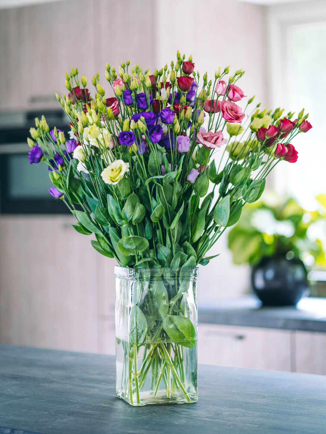 Soins à apporter au lisianthus